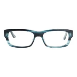 SEE Lincoln Park Reader