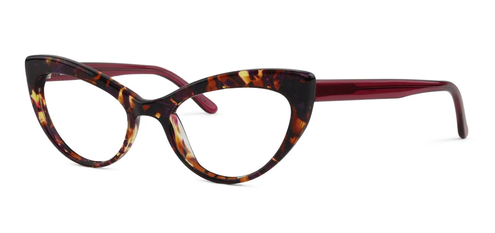 SEE Robin Reader - Image 5