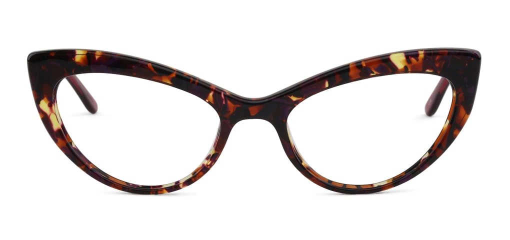 SEE Robin Reader - Image 4