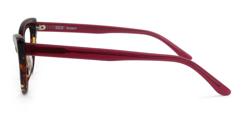 SEE Robin Reader - Image 6